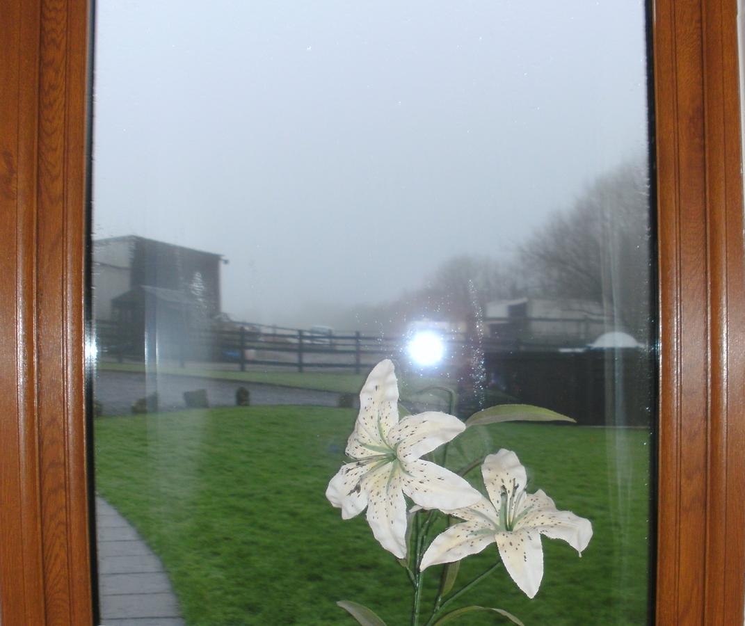 Bed and Breakfast Beudy Bach Cross Hands Екстер'єр фото